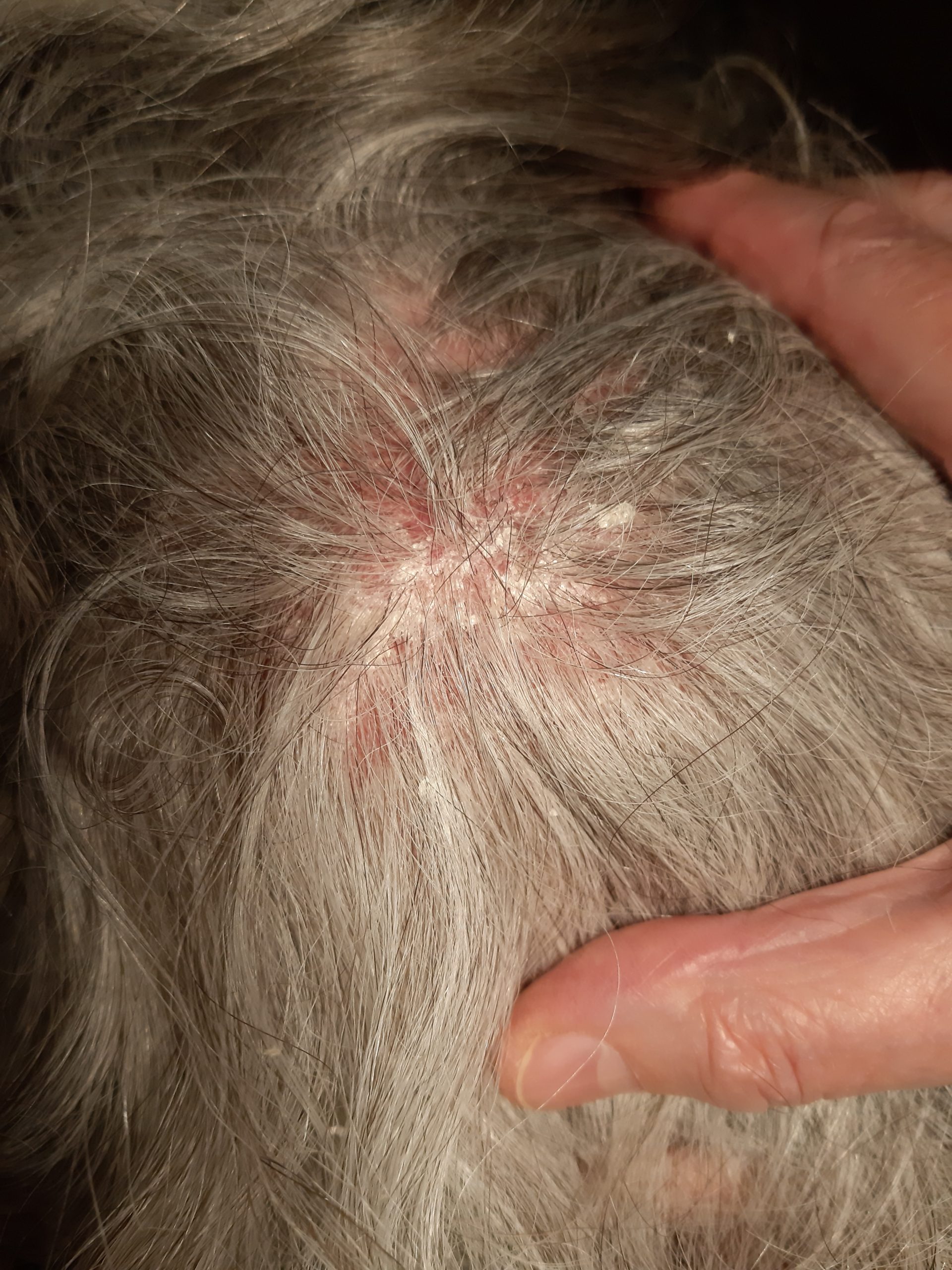 Before image